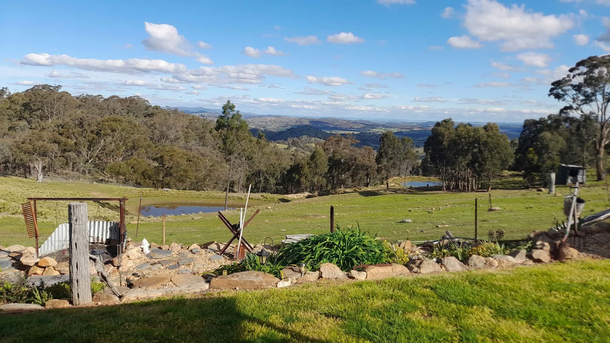 A rural landscape with a pond, trees, and a clear sky.