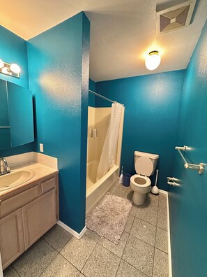 Bathroom - Cozy 2-bedroom house in beautiful University Place with AC (University Place)