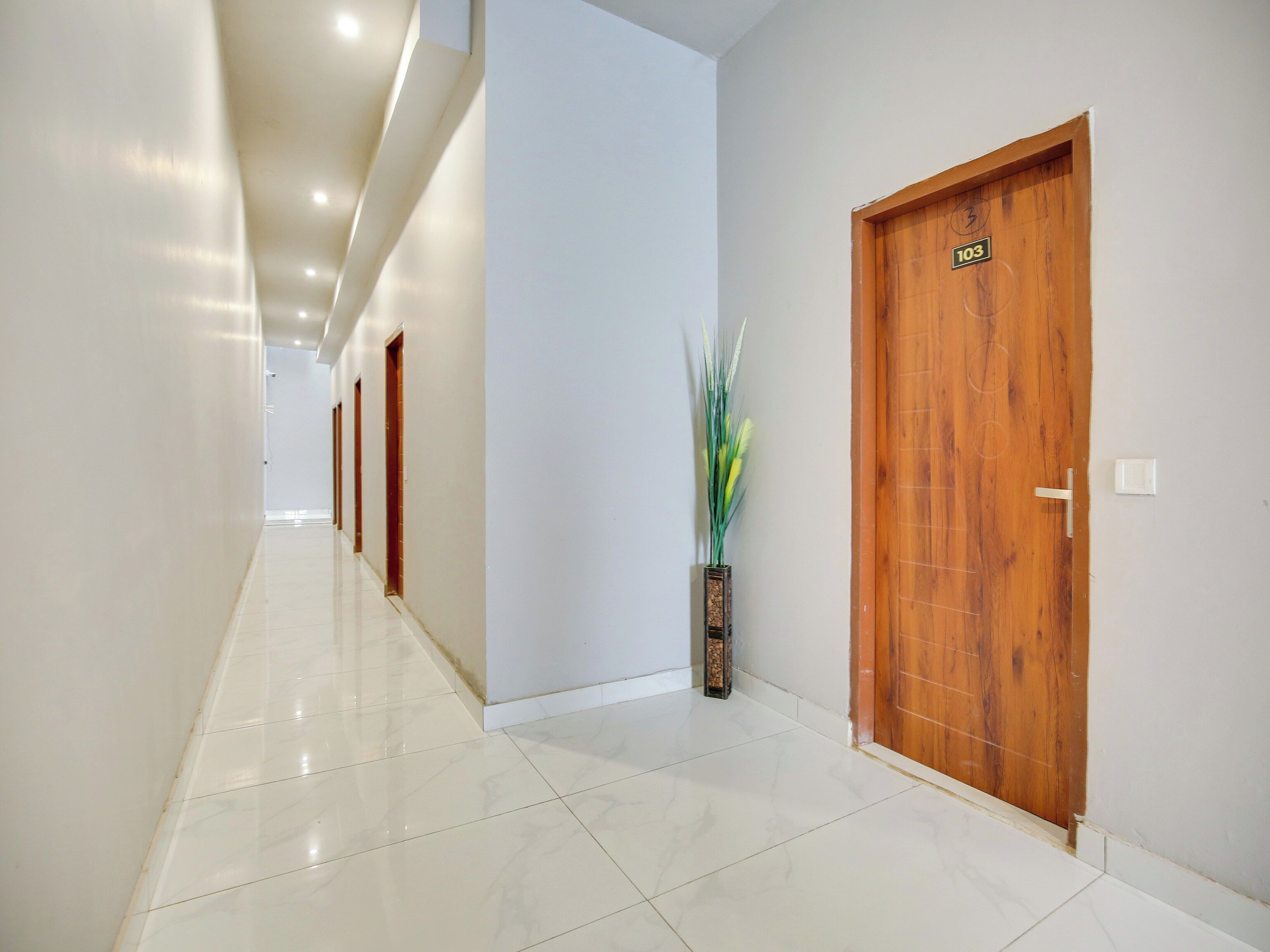 Un couloir avec une porte en bois, une plante en pot et un mur blanc.