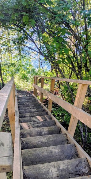A wooden staircase leading through a forested area with railings on both sides.
