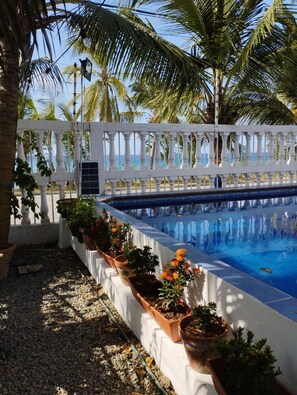 A swimming pool with a white fence, potted plants, and palm trees in the background. - La Casa del Banquete (San Andrés)