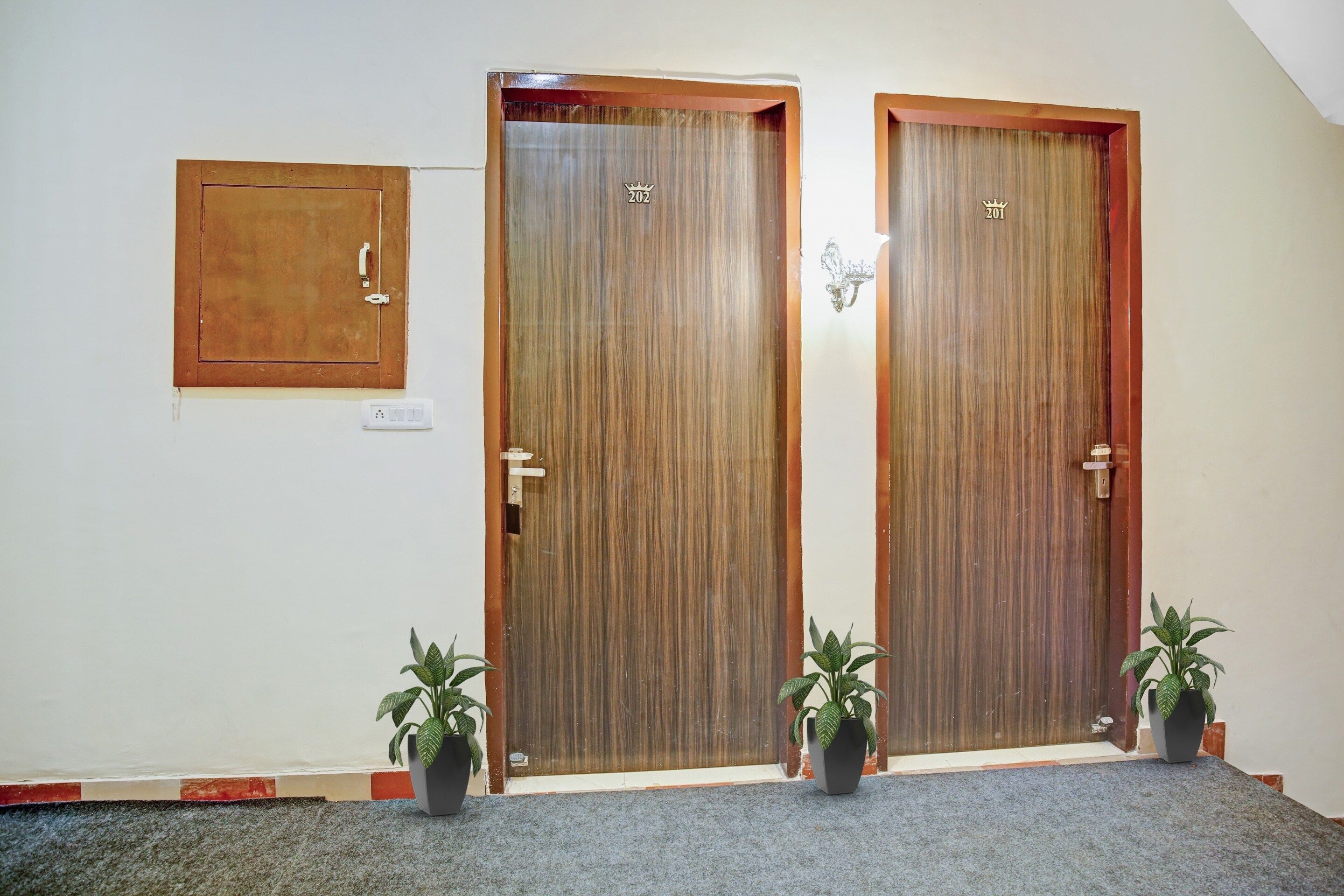Two wooden doors with numbers 202 and 201, a small square mirror, and two potted plants on a carpeted floor.