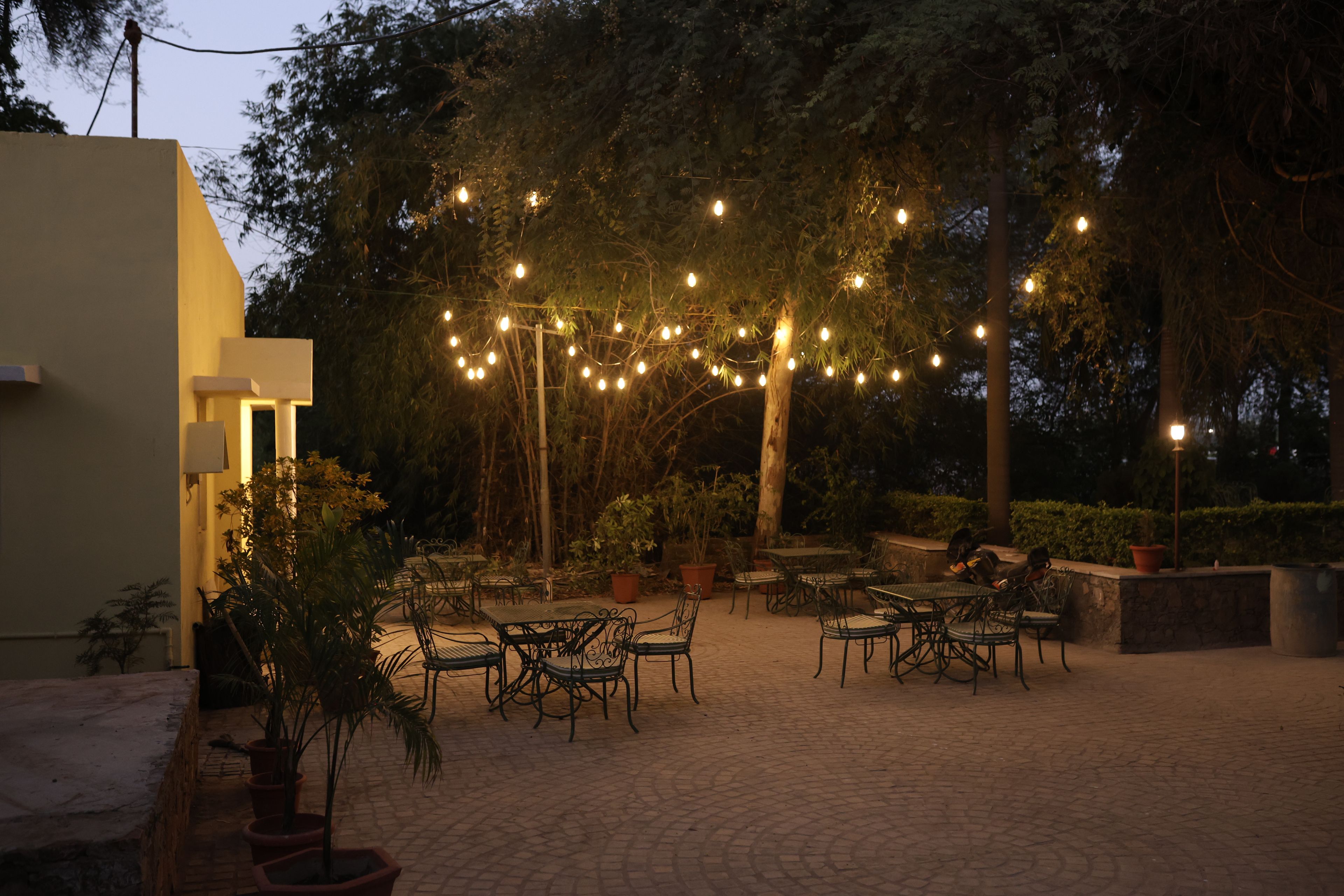 An outdoor patio area with tables and chairs, surrounded by potted plants and trees.