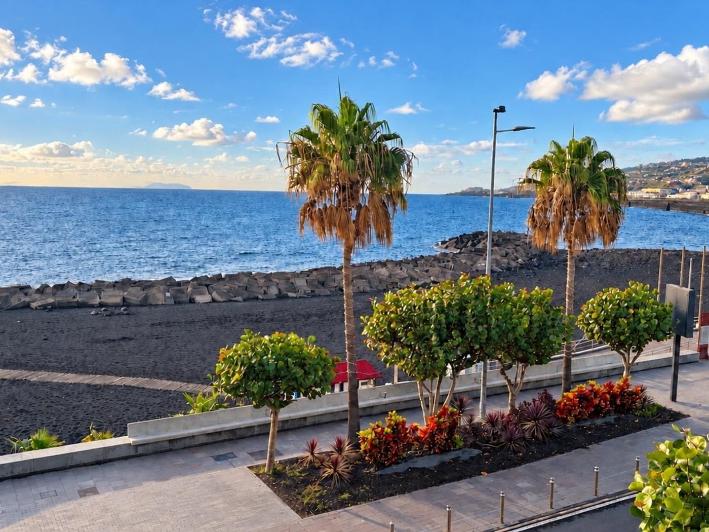 A coastal promenade with palm trees, a stone wall, and a view of the sea.