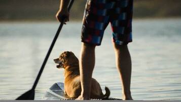 A person standing on a paddleboard with a dog, in a calm body of water.