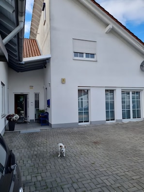 Un edificio moderno con un cortile lastricato, un cane e un'auto.