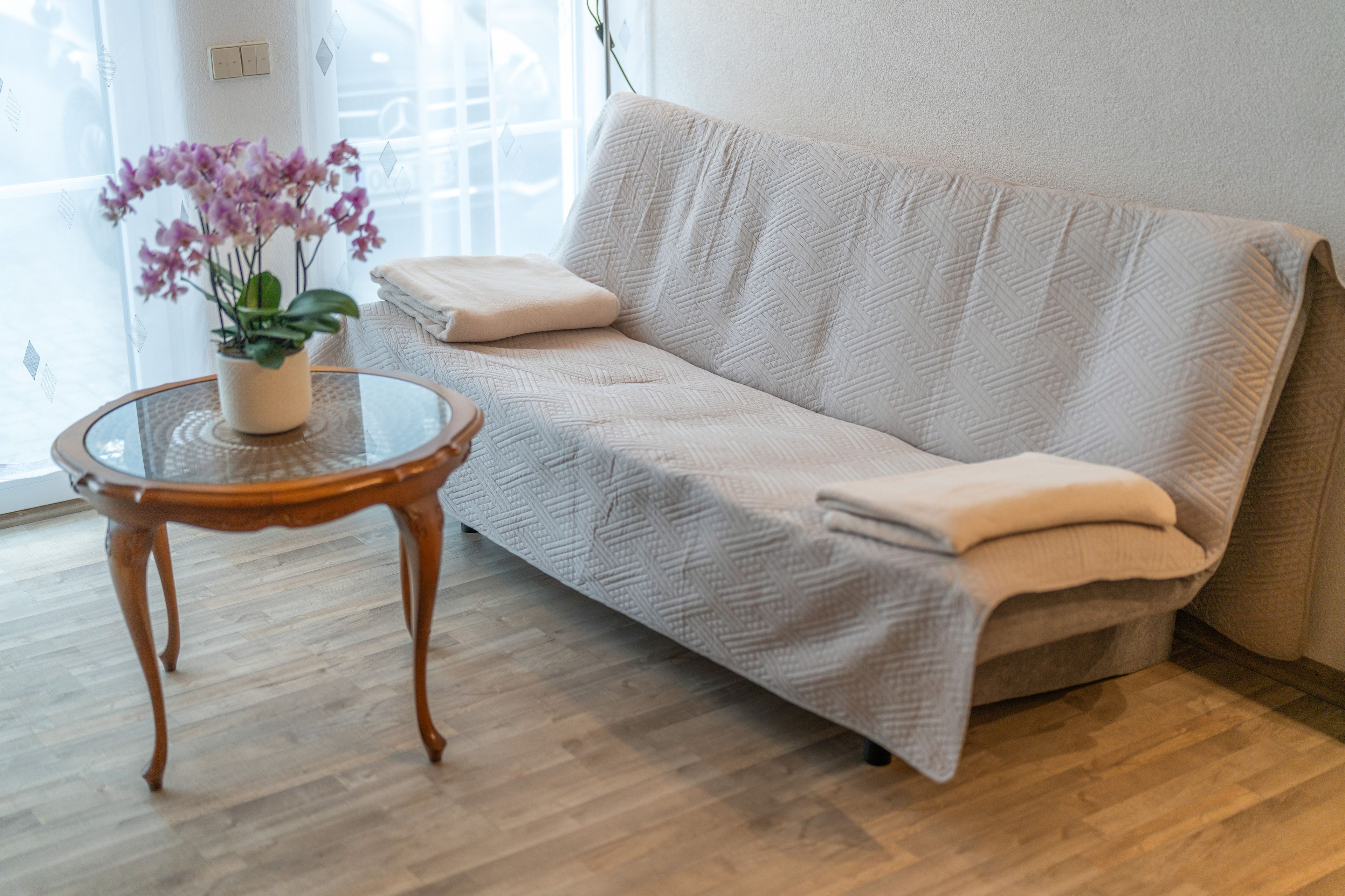 Une pièce avec un canapé, une table en verre et une plante en pot.