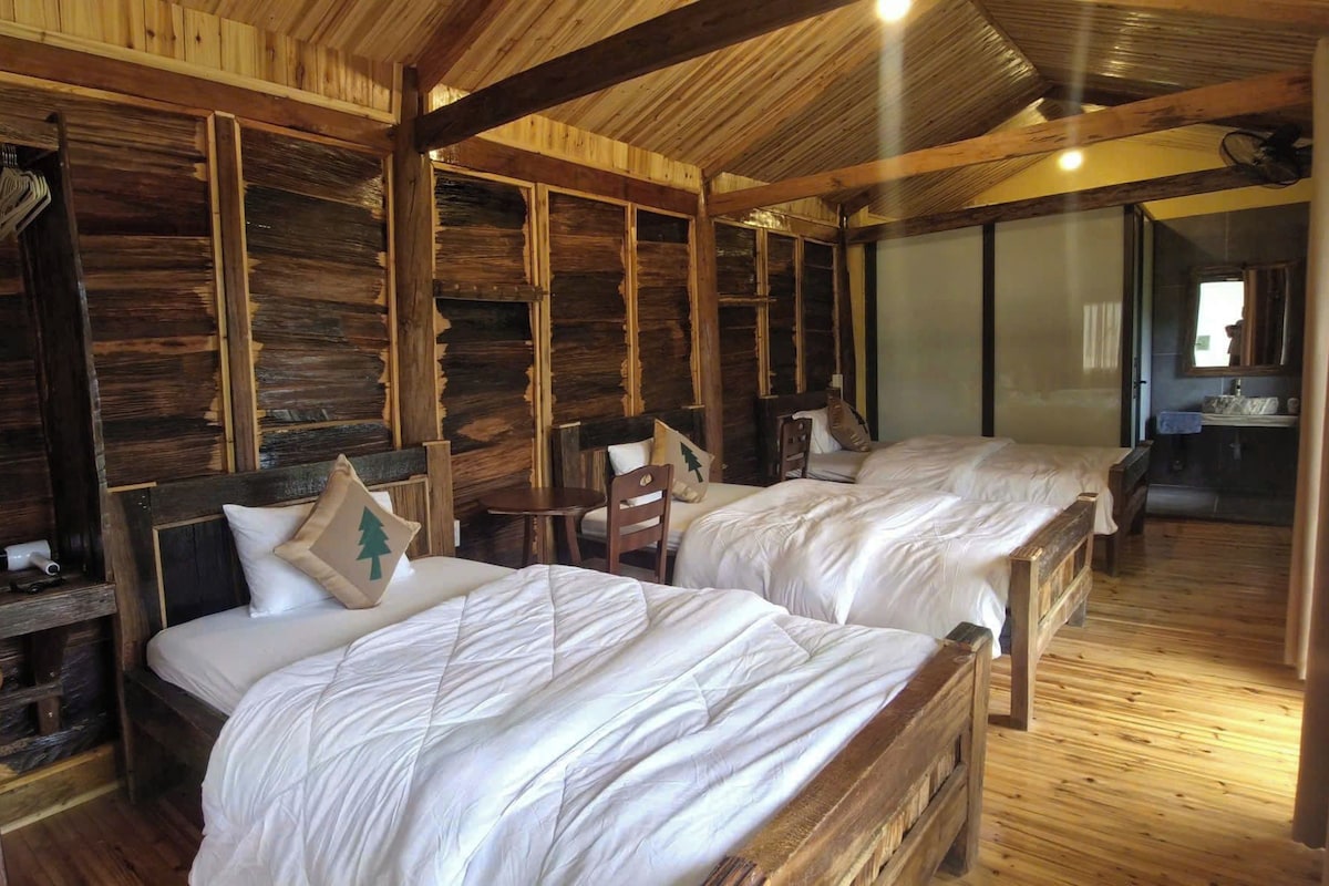 A cabin-style room with two beds, wooden walls, and a rustic ceiling.