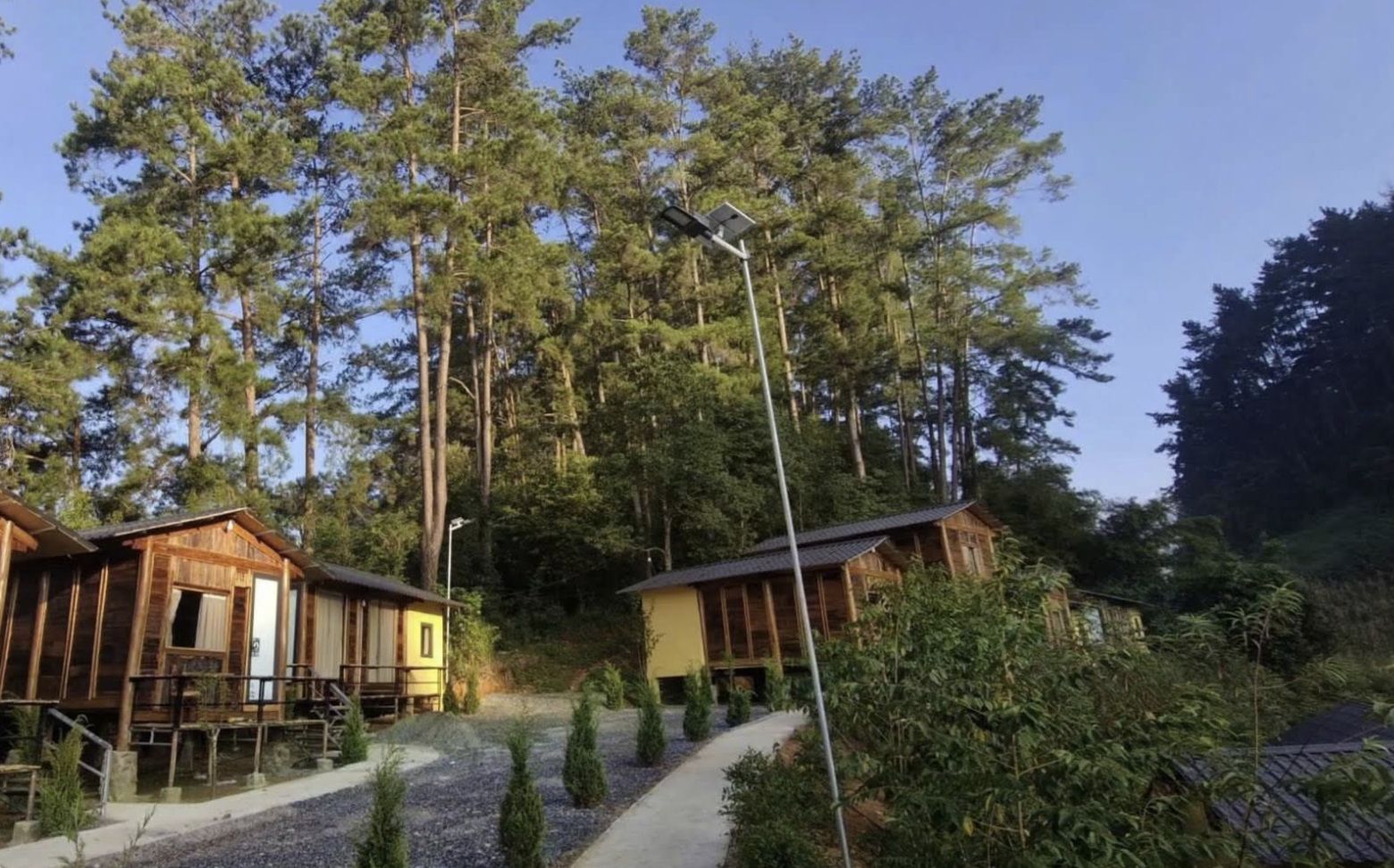 Allotjament d'estil cabana amb façana de fusta, un camí de grava i un fons d'arbres.