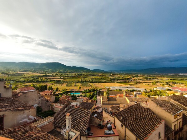 A view of a town with terracotta-roofed buildings, a vineyard, and distant mountains under a cloudy sky.