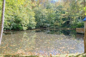 Ein Teich, von Bäumen umgeben, mit einer hölzernen Struktur auf der rechten Seite.