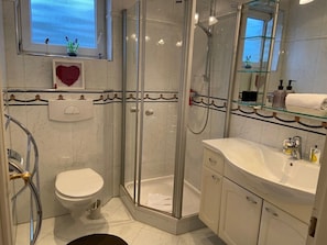 Ein modernes Badezimmer mit einer gläsernen Duschkabine, einer Toilette und einem Waschtisch.