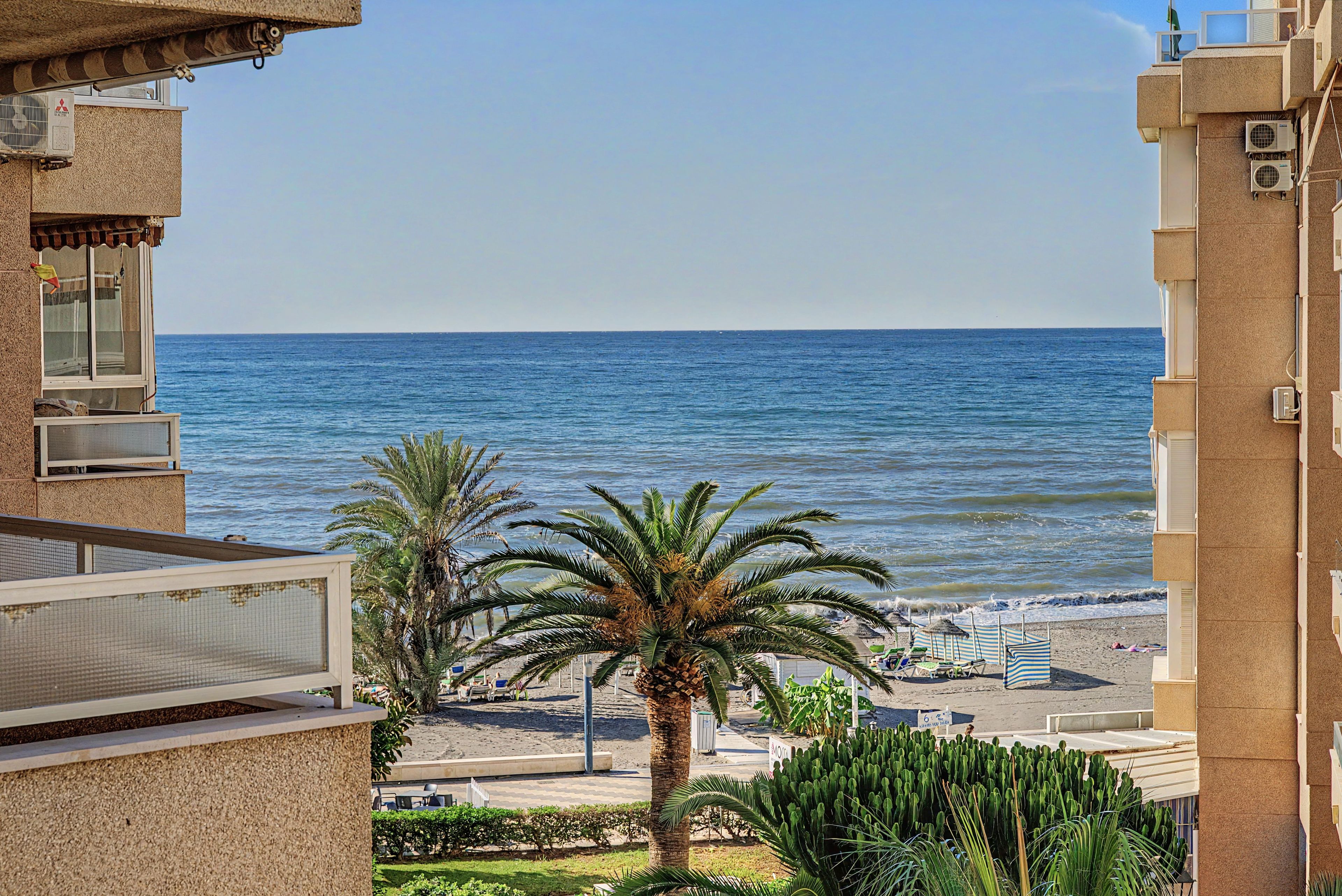 A coastal view with a beach, palm trees, and a clear sky.
