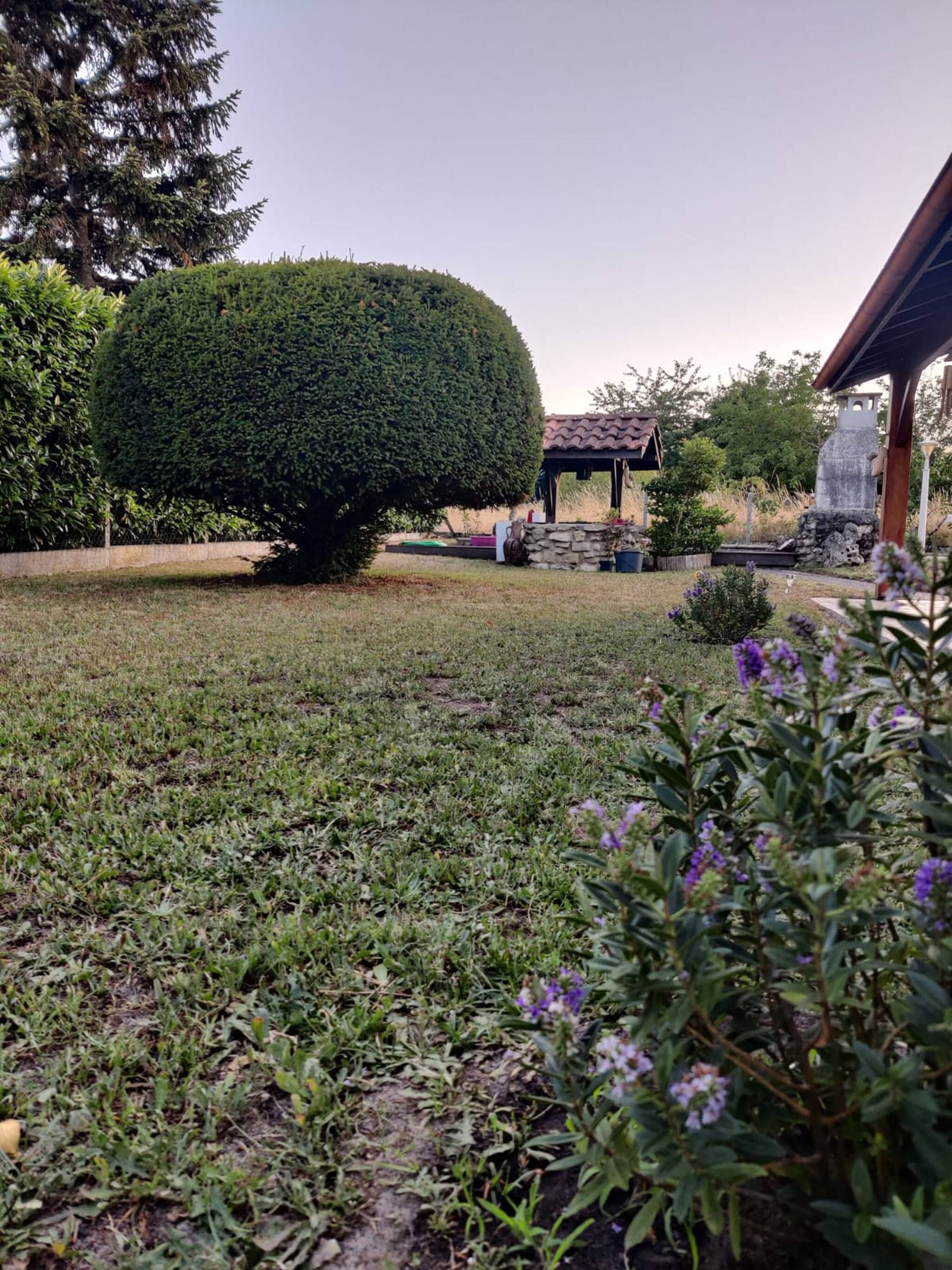 Un jardin bien entretenu, avec un grand arbuste aux branches soigneusement taillées, une structure en pierre et un petit bâtiment doté d’un toit en tuiles.