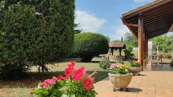 Puutarha, jossa on ruukuissa olevia kasveja ja pergola.