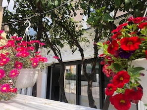 A hotel entrance with a glass door, a hanging flower pot, and a tree with green leaves. - Sr99 Hotel (Tirana)
