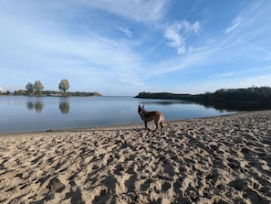 Ein sandiger Strand mit einem Hund am Ufer, ein ruhiger See im Hintergrund und Bäume am gegenüberliegenden Ufer.