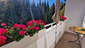 A balcony with a white railing, a table with a green object on it, and a row of pink flowers. - Brüggemann Bummelallee Vacation Rental (Bad Harzburg)
