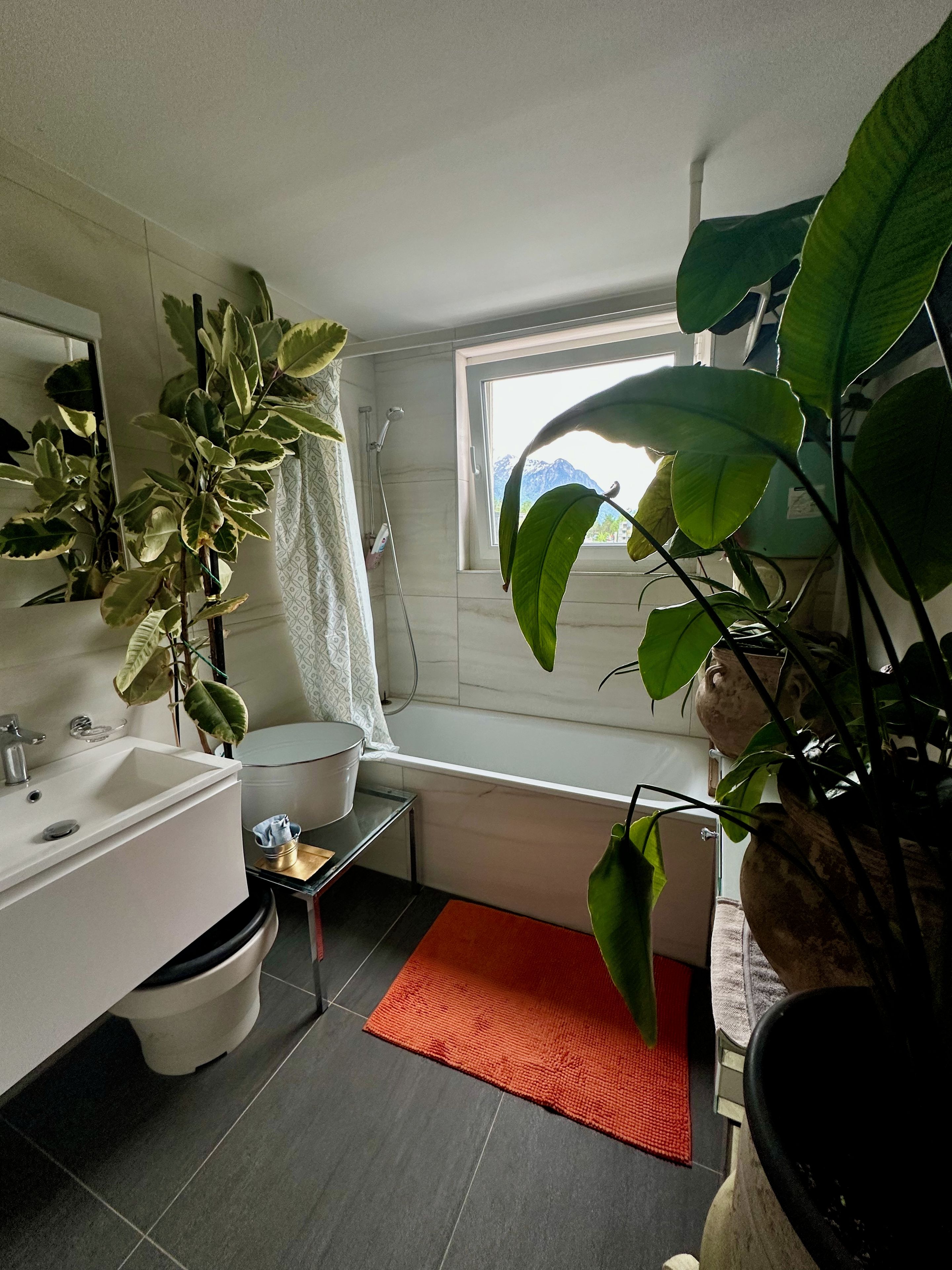 Ein Badezimmer mit einem weißen Waschbecken, Spiegel und Dusche. Auf dem Boden befinden sich Pflanzen und ein roter Teppich.