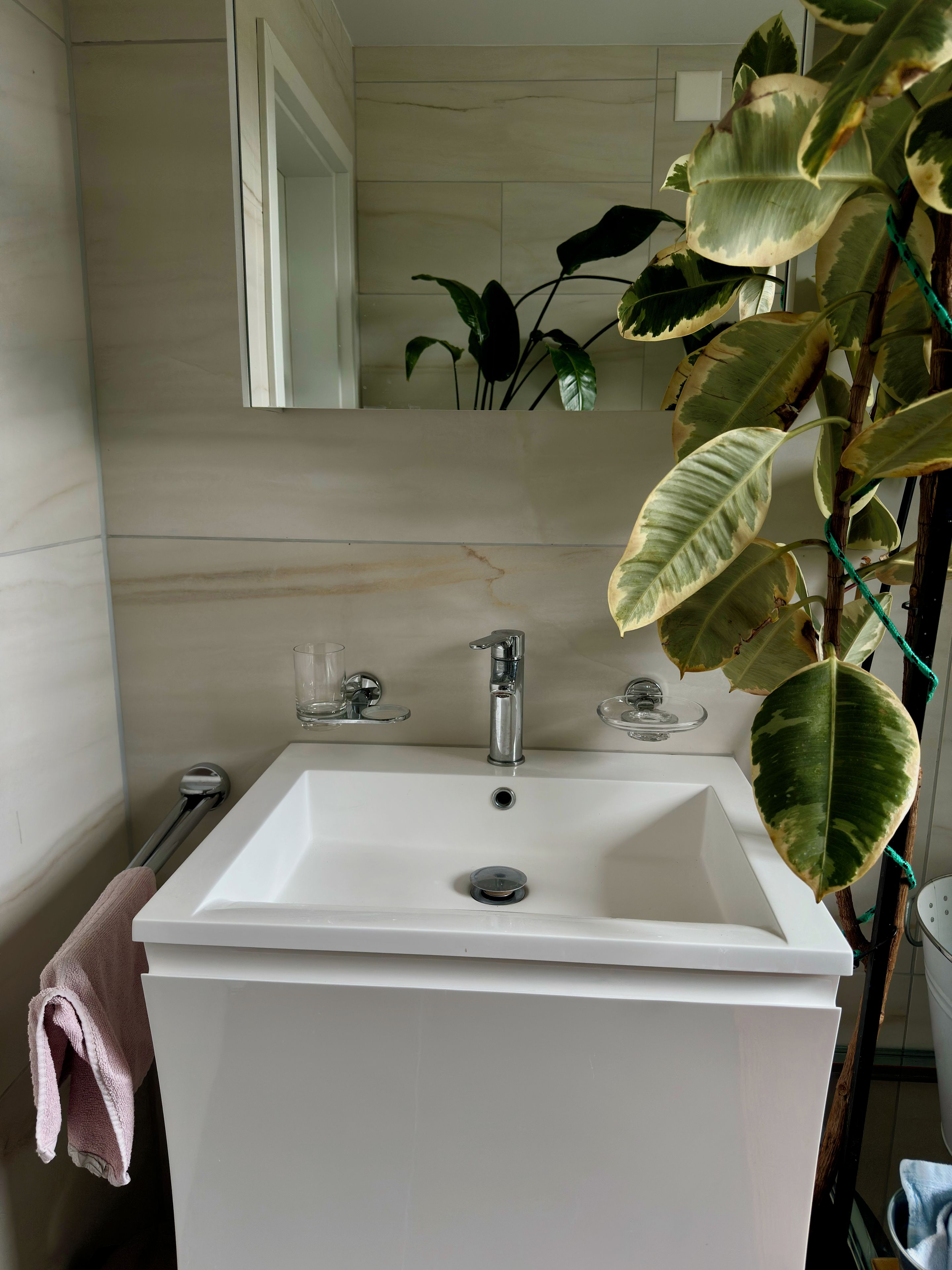 Une salle de bain avec un lavabo blanc, un miroir et une plante en pot.