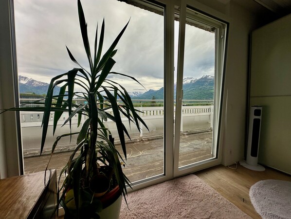 A room with a large window, a potted plant, a pink rug, and a white radiator.
