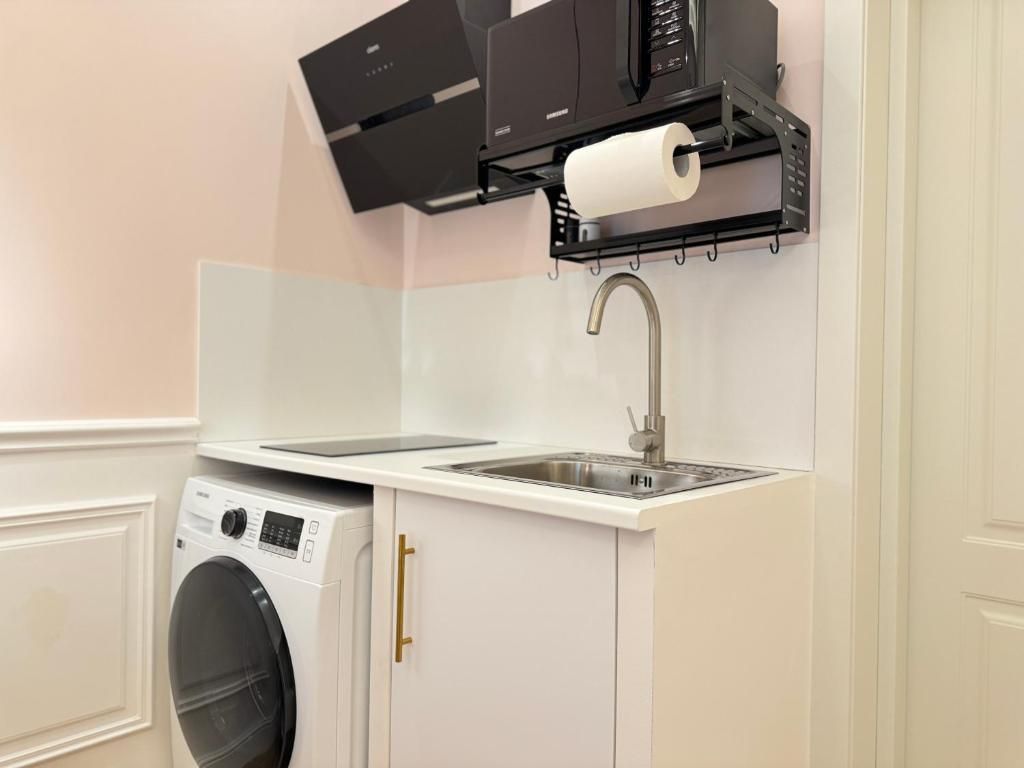 Une cuisine compacte équipée d’un lave-linge encastré, d’un évier et d’un four à micro-ondes.
