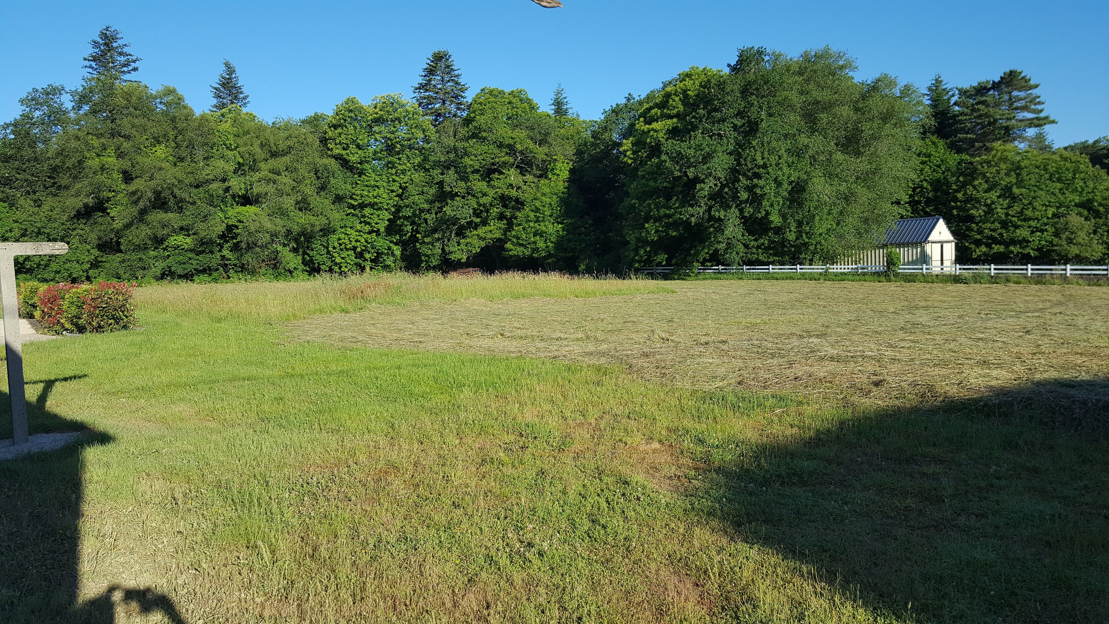 Um campo gramado com um pequeno edifício ao longe, cercado por árvores.