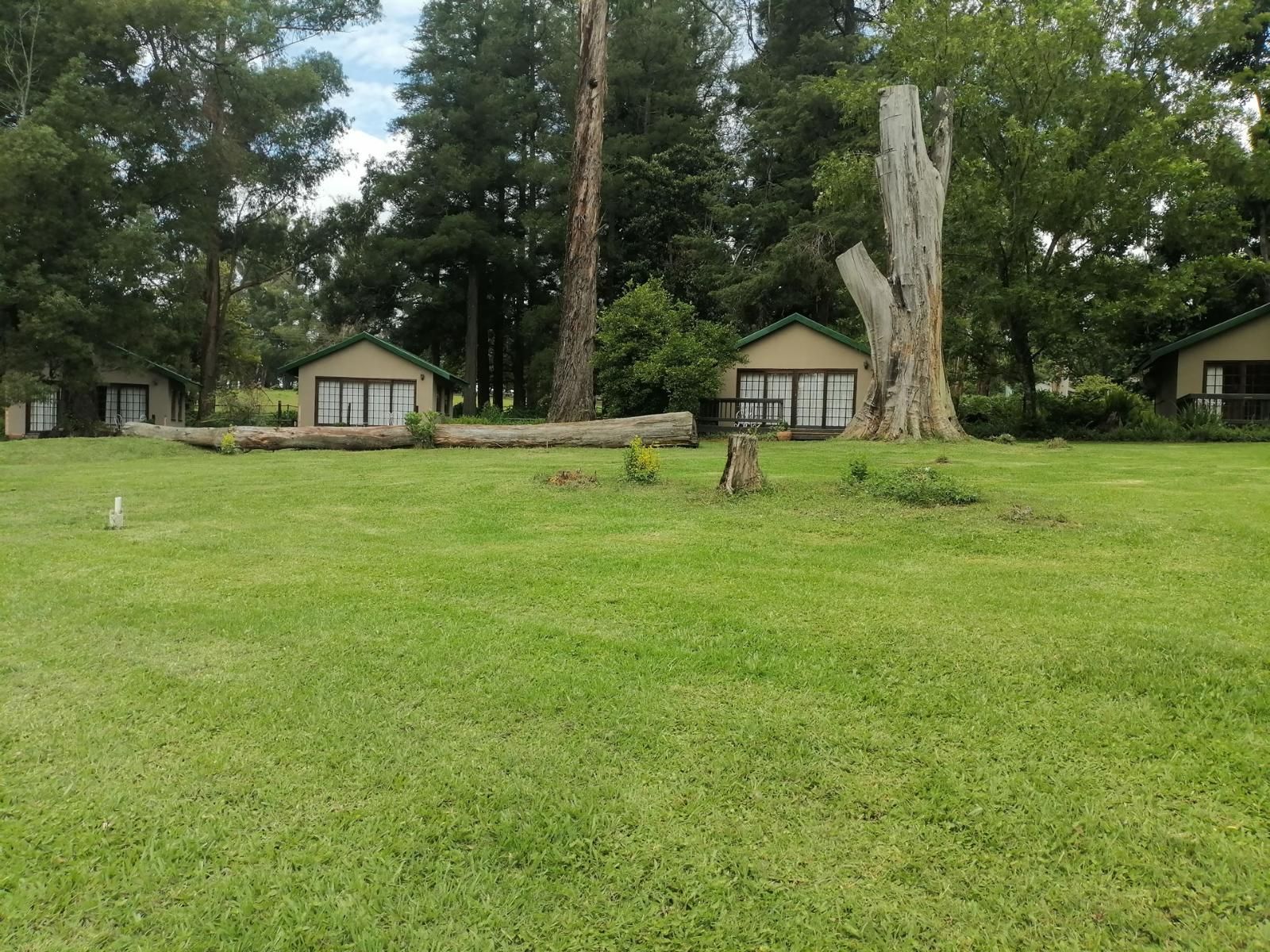 Une zone herbeuse avec deux bâtiments, chacun doté d’une grande fenêtre et d’une porte, le tout entouré d’arbres.