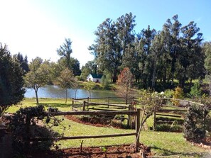 A fenced outdoor area with a pond, trees, and a building in the background.