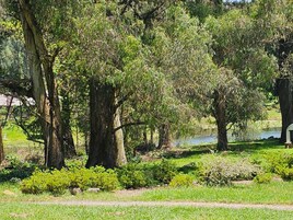 Un parque con árboles maduros, un estanque y un camino.