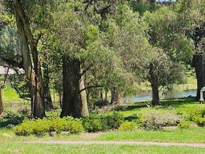 A park with mature trees, a pond, and a pathway.