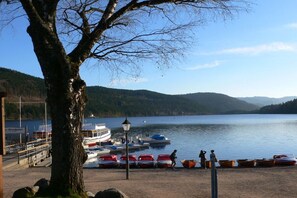 A lakeside scene with boats docked, a tree in the foreground, and a distant view of hills. - Haus Seebachtal - Apartment 6 (Titisee)