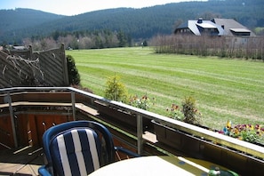 A patio with a view of a green field and a house in the background. - Haus Seebachtal - Apartment 6 (Titisee)