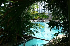 Piscina interna rodeada por vegetação exuberante e um revestimento de vidro.