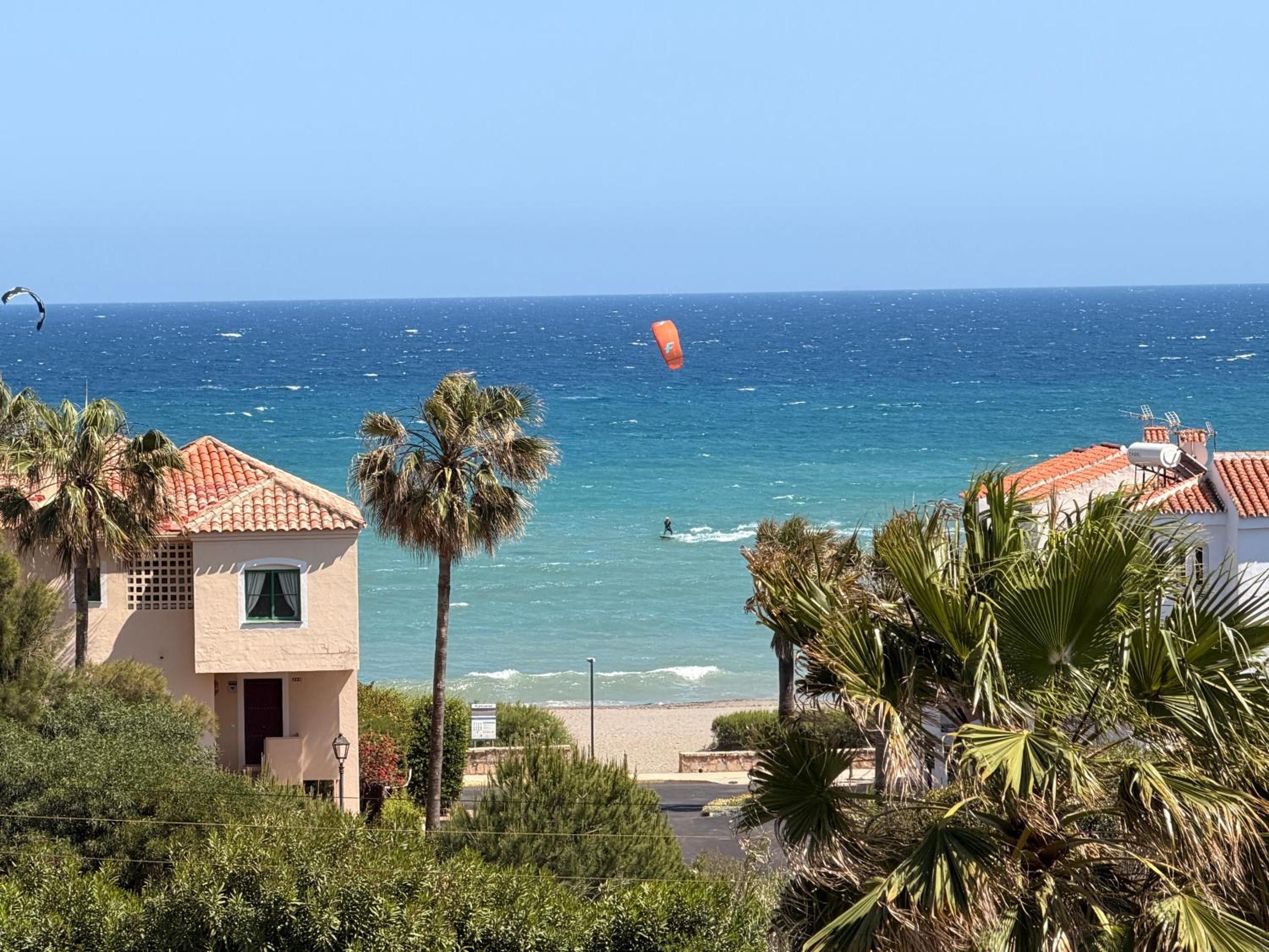Une vue sur la côte, avec une plage, des palmiers et un bâtiment doté d’un toit en tuiles.