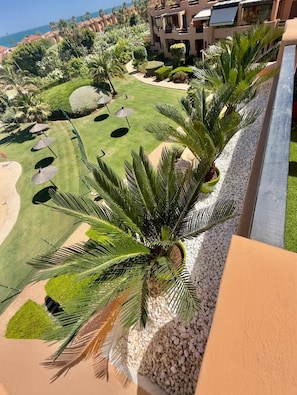 Et resort med golfbane, palmer og havudsigt.