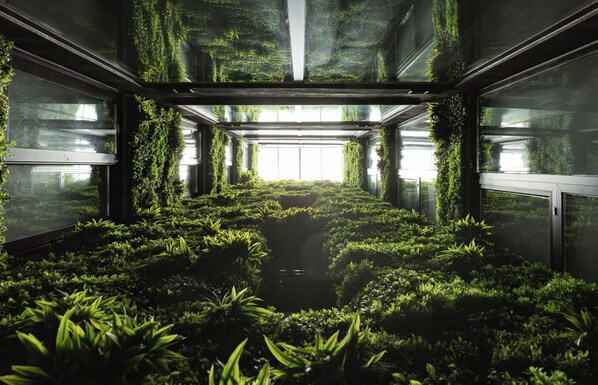 A greenhouse with rows of plants and a central walkway. - Thirty Three Boutique by K Hotels (St. Julian's)