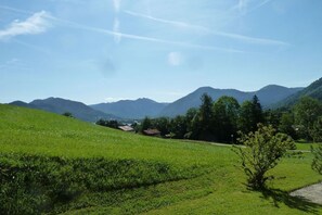 A green field with a small tree and a mountain range in the background. - Holiday apartment in Bad Wiessee with parking (Bad Wiessee)