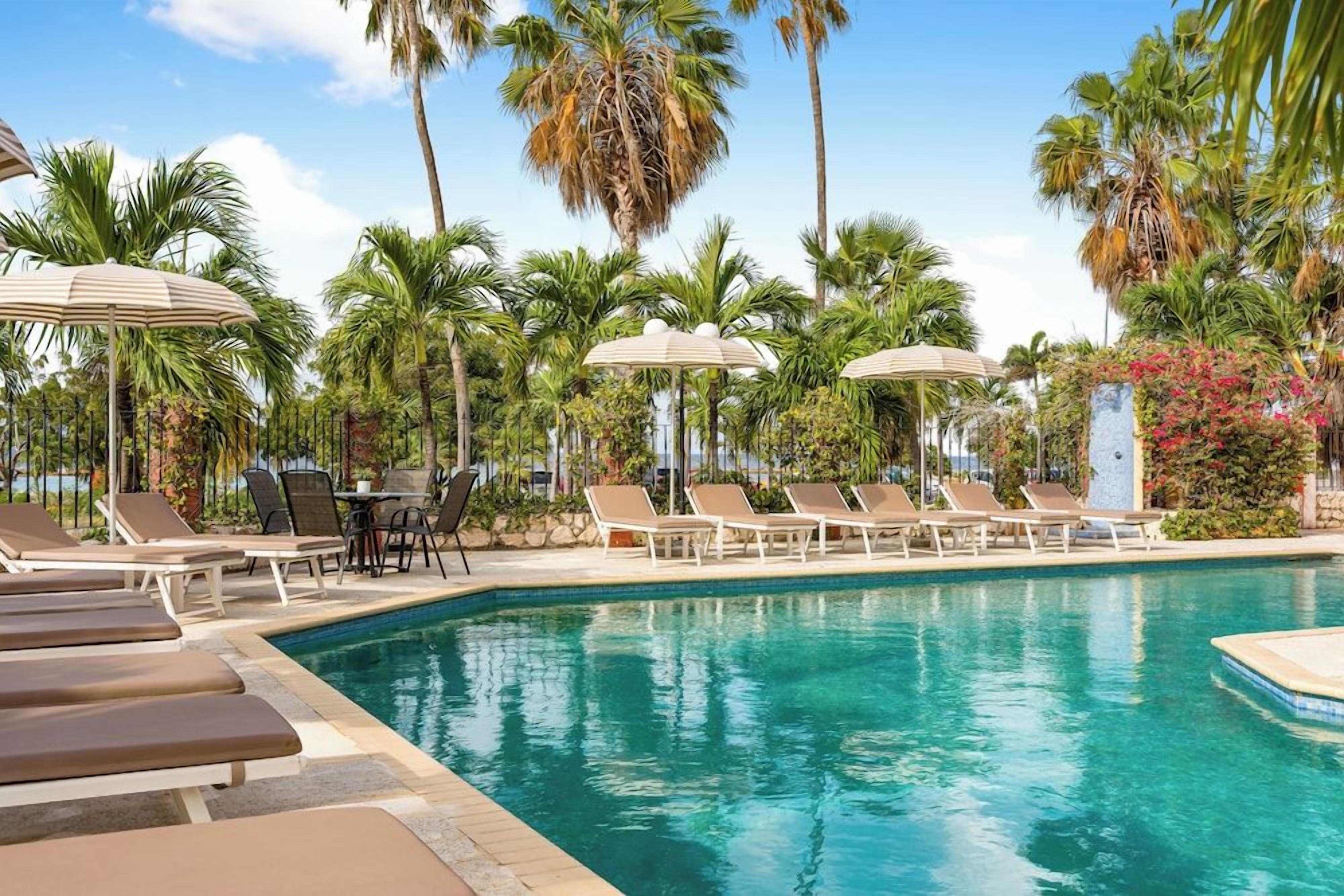Zona junto a la piscina con sillones de descanso y sombrillas, rodeada de palmeras y un cielo despejado.