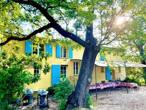 Un bâtiment jaune avec des volets bleus, un grand arbre devant et des places assises à l’extérieur.