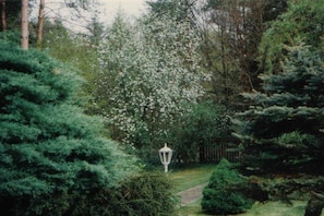 A pathway leading through a garden with dense foliage and a white lamp post. - Holiday apartment with 2 bedrooms (Ludwigswinkel)