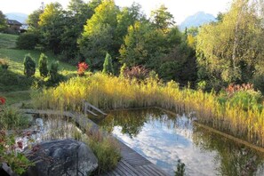 Un estany tranquil envoltat de vegetació exuberant i arbres, amb un pont de fusta que s'enduu a l'aigua.