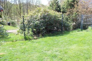 A fenced area with a grassy lawn and dense shrubbery. - Holiday home Harz with heart 4 (Braunlage OT Hohegeiß)