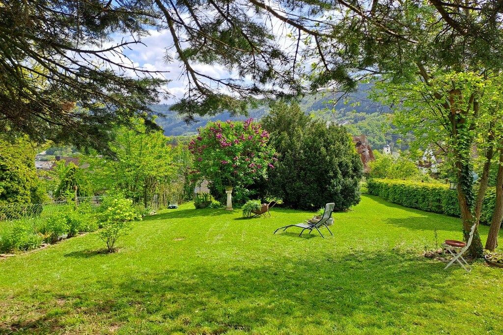 A lush garden with a variety of trees and shrubs, a lawn, and a metal chair.