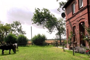 A brick building with a satellite dish, a fenced yard with two horses, and a tree. - Holiday apartment with 1 bedroom (Garding Kspl.)