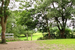 Paisaje rural con un sendero de tierra que lleva a una cerca de madera, rodeado de árboles y campos abiertos.