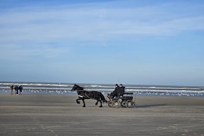 A beach scene with a horse-drawn carriage and people. - Holiday apartment Strandläufer 37 Ameland (Buren\/Ameland)