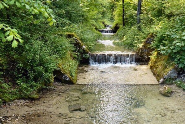 Un estrecho canal de agua con una pequeña cascada, rodeado de abundante vegetación.