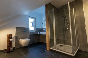 A modern bathroom with a glass-enclosed shower, a toilet, and a sink. - Holiday home with 3 bedrooms (Braunlage)