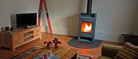 A cozy living room with a wood-burning stove, a television, and a comfortable sofa.